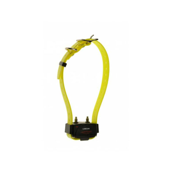 Pack de dressage Canicom 1500 2 chiens Num'axes – Image 4