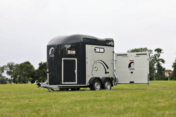 Van Gold 3 Cheval Liberté – Image 10