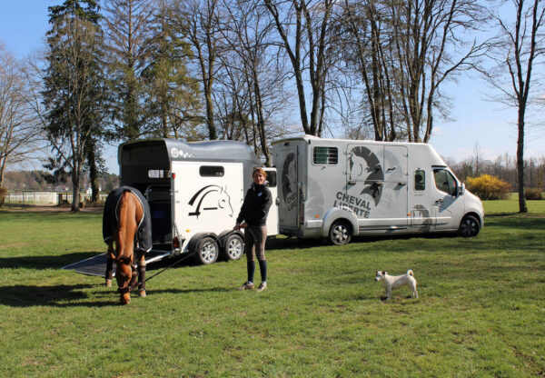 Van Gold 3 Cheval Liberté – Image 8