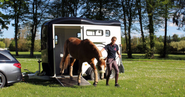 Van Touring One Cheval Liberté – Image 3