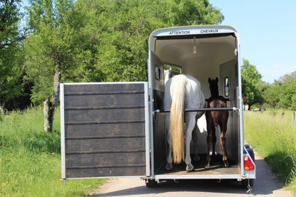 Van Touring One Cheval Liberté – Image 2
